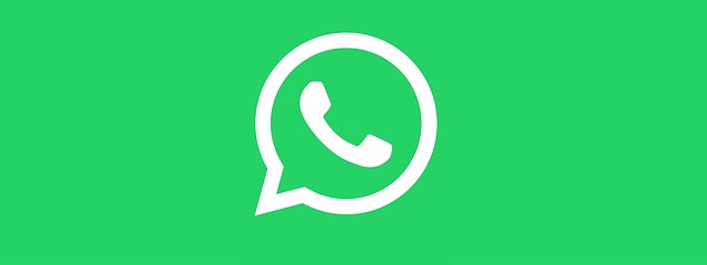 B2B Marketing and Whatsapp Marketing