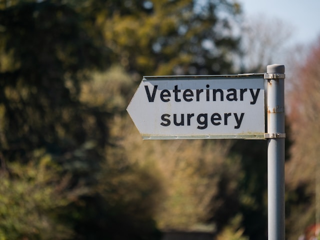 a-sign-that-says-veterinary-surgery-on-it-coldeaproductions