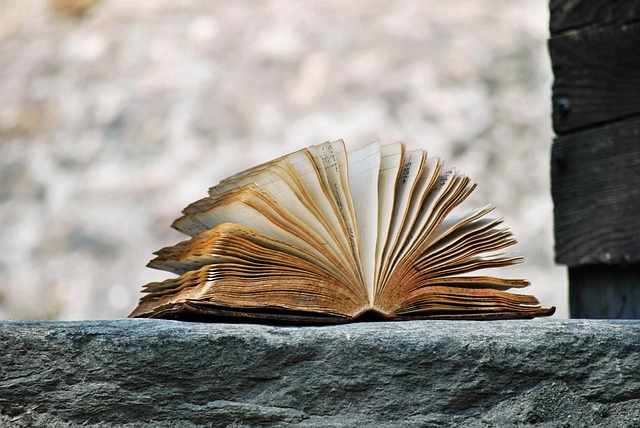 An old book, open on a rock.